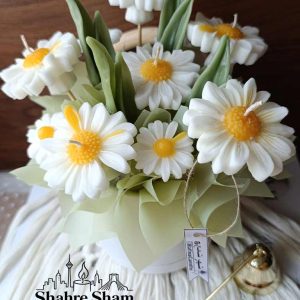 باکس گل شمع بابونه سفید