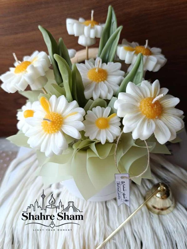 باکس گل شمع بابونه سفید