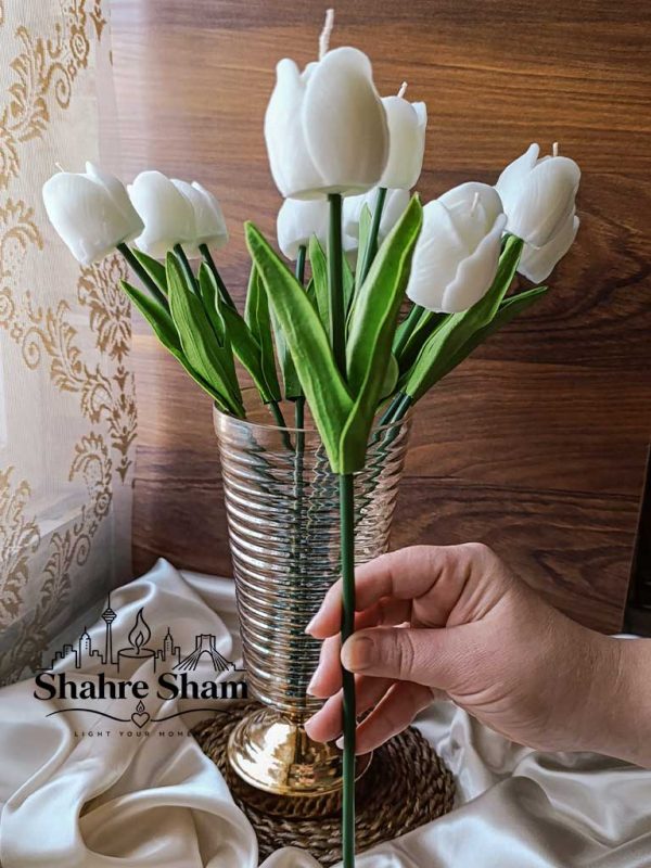 شاخه گل لاله شمعی سفید